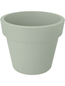Bambou collé dans pot plastique