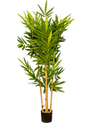 Bambou collé dans pot plastique