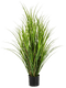 Pot Grass (110 cm)