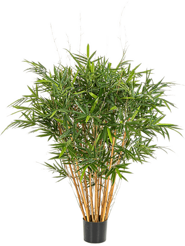 Pot Tree (125 cm)