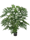 Pot Buisson (30x)