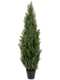 Pot Tree Green (UV)