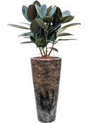 Pot luxe lite partner bronze