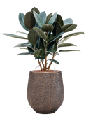 Pot opus emperor d'or