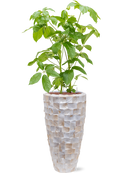 Pot oceana partner blanche