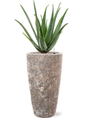 Pot lava partner marron