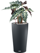 Pot color partner grise