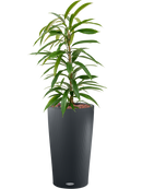 Pot color partner grise