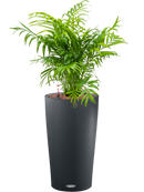 Pot color partner grise