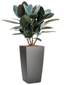 Pot premium kubis anthracite