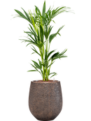 Pot opus emperor d'or