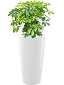 Pot premium partner blanche