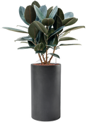 Pot basic cylinder grise