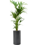 Pot basic cylinder grise