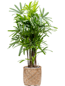 Pot bohemian cylinder marron