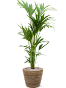 Pot paniers  couple marron