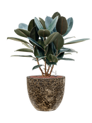 Pot lava couple noire