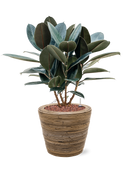 Pot paniers  couple marron