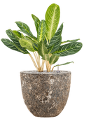 Pot lava couple marron