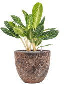 Pot lava couple rouge