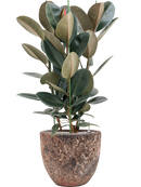 Pot lava couple rouge