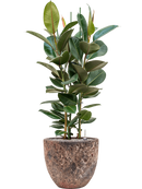 Pot lava couple rouge