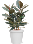 Pot feliz couple blanche