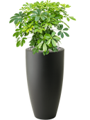 Pot pure partner anthracite