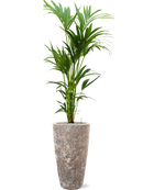 Pot lava partner marron