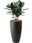 Pot pure partner anthracite