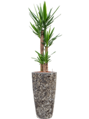 Pot lava partner noire