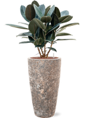 Pot lava partner marron