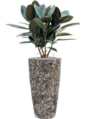 Pot lava partner noire