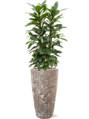 Pot lava partner marron