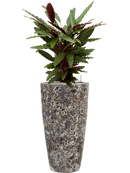 Pot lava partner noire