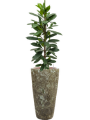 Pot lava partner verte