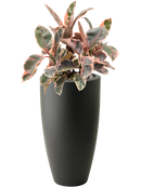 Pot lava partner marron