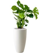 Pot pure partner blanche