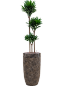 Pot luxe lite partner bronze