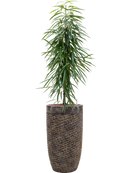 Pot luxe lite partner bronze