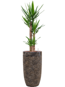 Pot luxe lite partner bronze