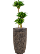 Pot luxe lite partner bronze