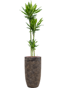 Pot luxe lite partner bronze