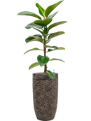 Pot luxe lite partner bronze