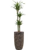 Pot luxe lite partner bronze