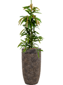 Pot luxe lite partner bronze