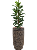 Pot luxe lite partner bronze