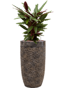 Pot luxe lite partner bronze