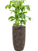 Pot luxe lite partner bronze