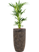 Pot luxe lite partner bronze